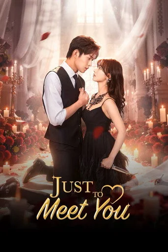 Pôster de Just to Meet You